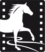 Little Horse Crossing the River