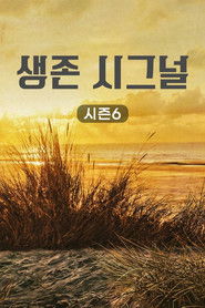 시즌 6