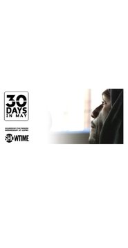 Poster 30 Days in May 2013