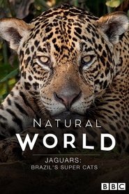 Poster Jaguars: Brazil's Super Cats