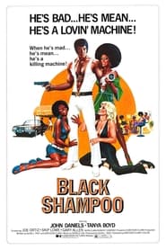Black Shampoo постер