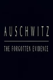 Auschwitz: The Forgotten Evidence (2004)