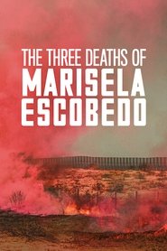 Poster The Three Deaths of Marisela Escobedo