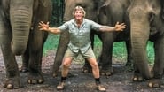 The Steve Irwin Story en streaming