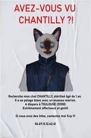 Poster AVEZ-VOUS VU CHANTILLY ?!