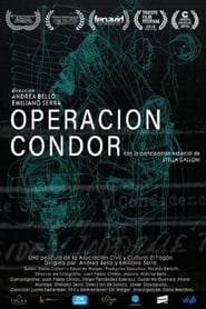 Condor Operation