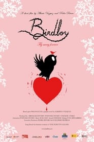 Birdboy постер
