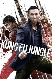 Kung Fu Jungle постер