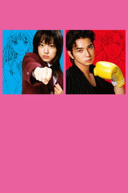 BOYS OVER FLOWERS poster