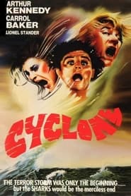 Cyclone постер