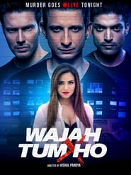 Wajah Tum Ho постер