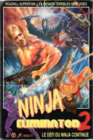 Ninja Eliminator 2: Quest of the Magic Ninja Crystal