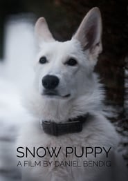 Poster Snow Puppy