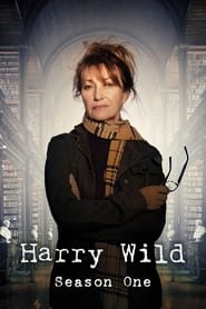 Harry Wild Series 1 4