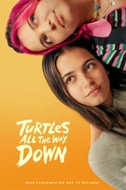 Assistir Turtles All the Way Down Online HD