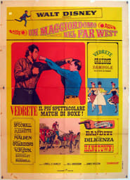 Un maggiordomo nel Far West (1967)