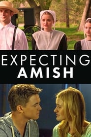 Expecting Amish постер