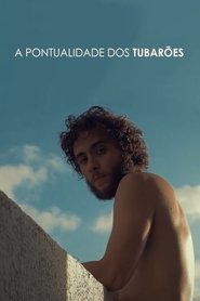 A Pontualidade dos Tubarões
