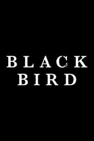 Чорний птах постер
