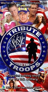 Poster WWE Tribute to the Troops 2017