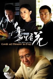 雾里看花 poster