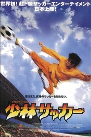 少林サッカー (2001)