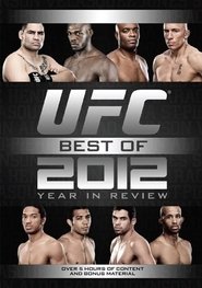 UFC Best of 2012: Year in Review