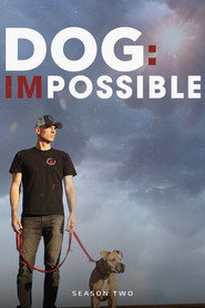 Dog: Impossible poster