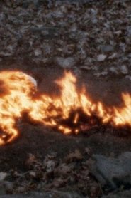 Poster Alma, Silueta en Fuego 1975