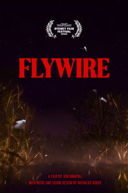 Flywire