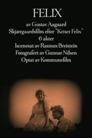 Poster Felix 1921
