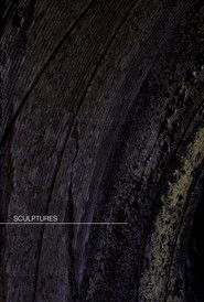 Poster for Sculptures
