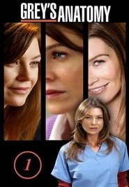 Grey's Anatomy - Season 1 Episode 1 : A Hard Day's Night