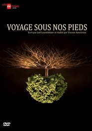 Voyage sous nos pieds poster