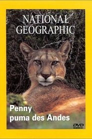Poster National Geographic : Penny, puma des Andes 1970