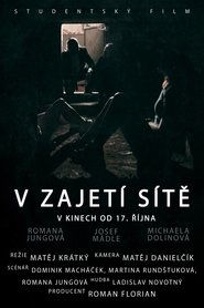 V zajetí sítě) V zajetí sítě (2019)