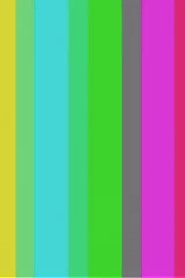 Poster Colour Bars 2004