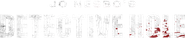 Detective Hole Logo