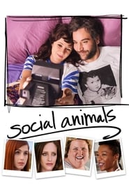Соціальні тварини постер