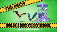 The Crew Builds a Bird Flight School