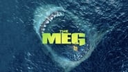 EUROPESE OMROEP | The Meg