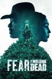 Fear the Walking Dead S06 2015 Web Series AMZN WebRip English Hindi ESub 480p 720p 1080p