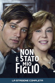 Non è stato mio figlio Season 1 poster