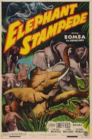 Elephant Stampede постер