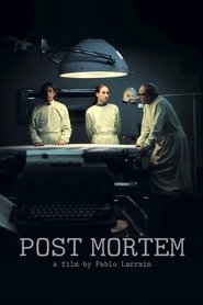 Post Mortem 2010 Movie Download & Watch Online