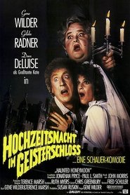 Poster Hochzeitsnacht im Geisterschloß