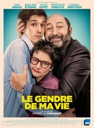 Voir Le Gendre de ma vie en streaming vf gratuit sur streamizseries.net site special Films streaming