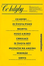 Poster Co kdyby...? 1972