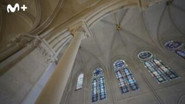 Notre Dame - Build To Survive