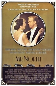 Mr. North постер